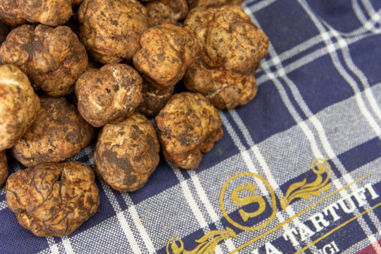 Tartufo Basilicata