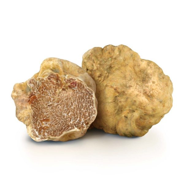 tartufo-bianco-tuber-magnatum-pico Acquisto di tartufo bianco pregiato per privati e ristoranti