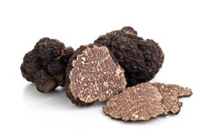Tartufo Scorzone Fresco