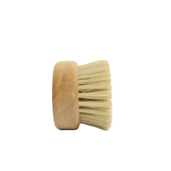 4D__9405 copia Spazziola Tartufi