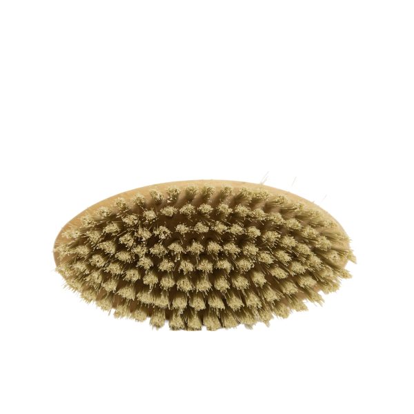 4D__9406 copia Spazziola Tartufi